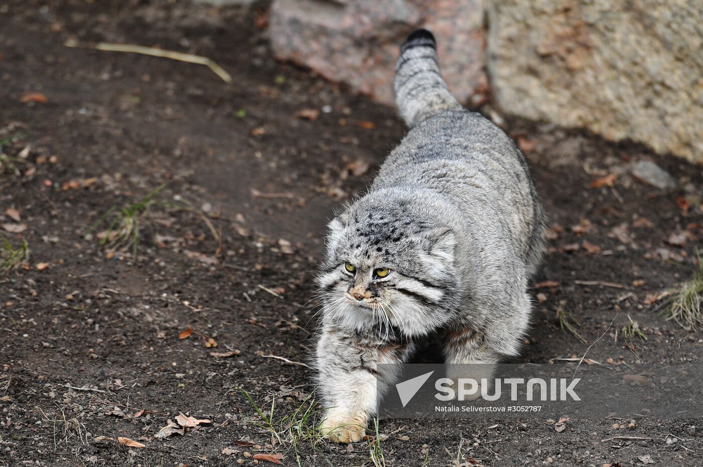Moscow Zoo