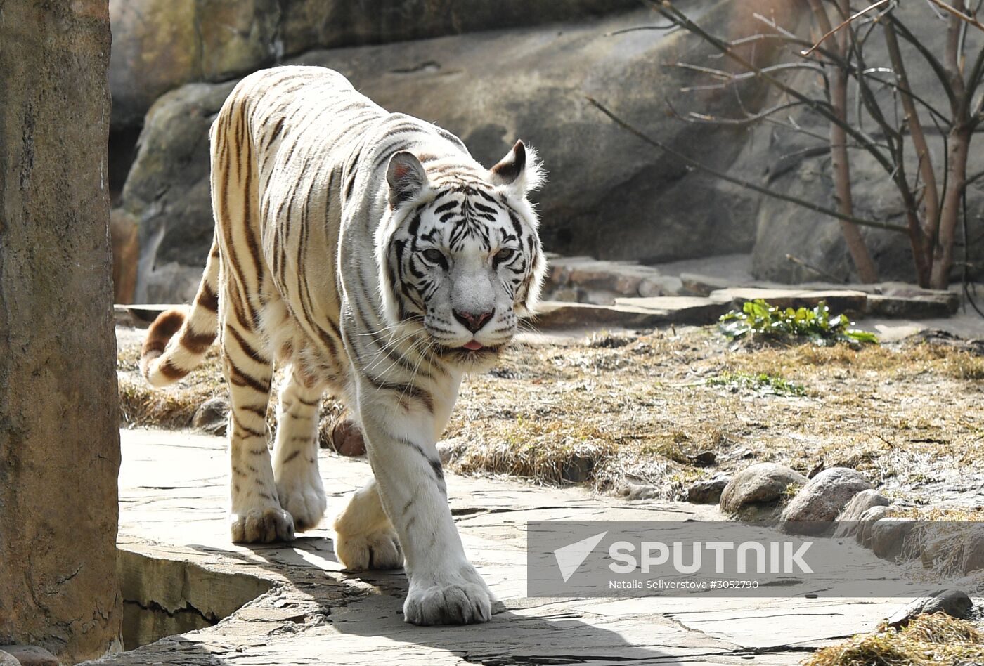Moscow Zoo