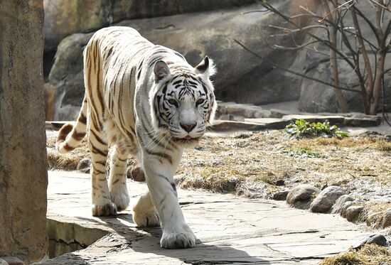 Moscow Zoo