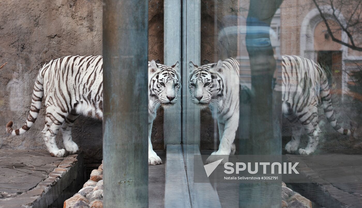 Moscow Zoo