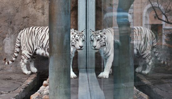 Moscow Zoo