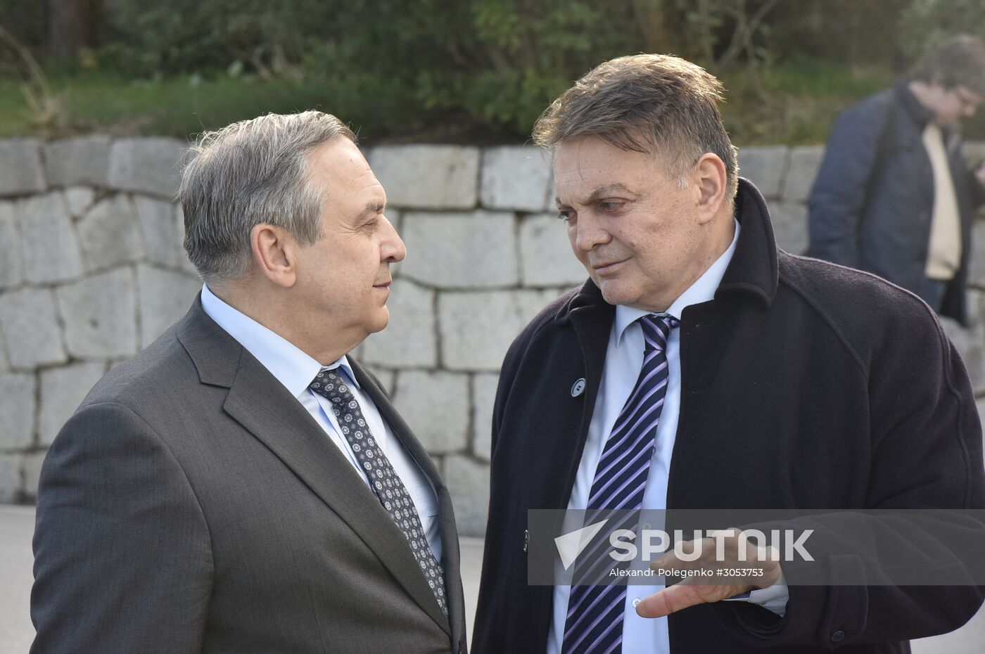 Delegation of European, Uktrainian politicians arrive in Crimea