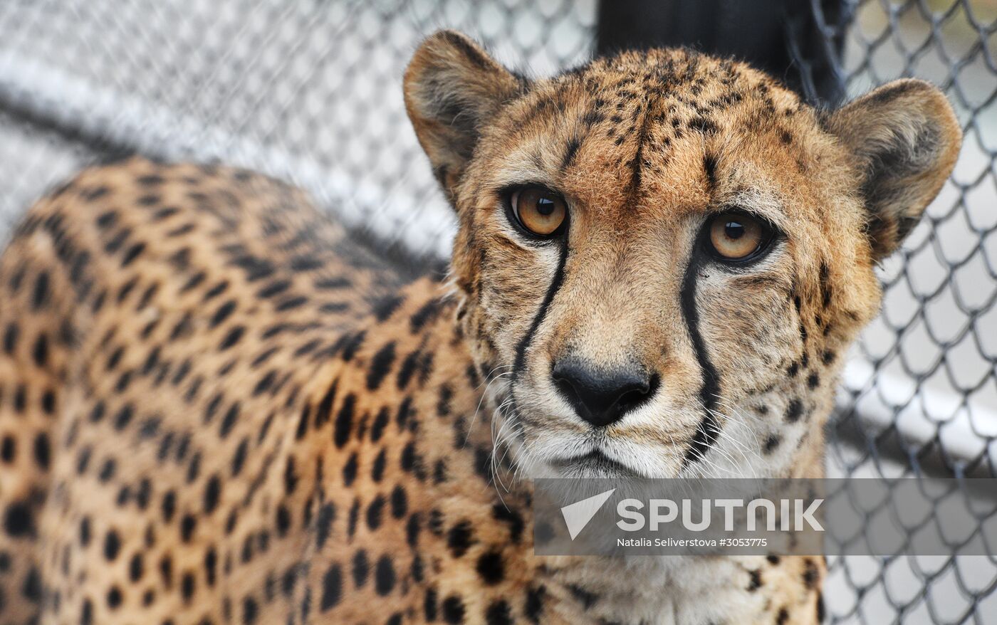 Moscow Zoo