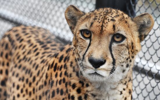 Moscow Zoo