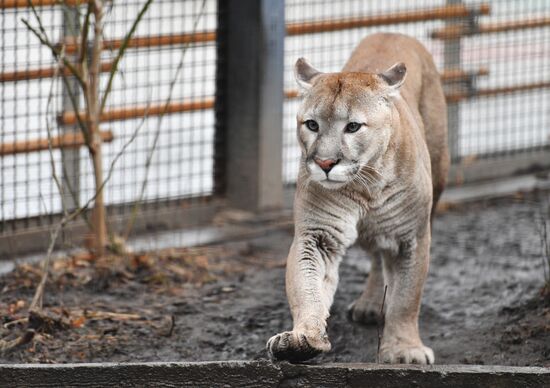 Moscow Zoo