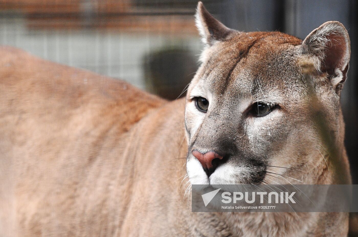 Moscow Zoo