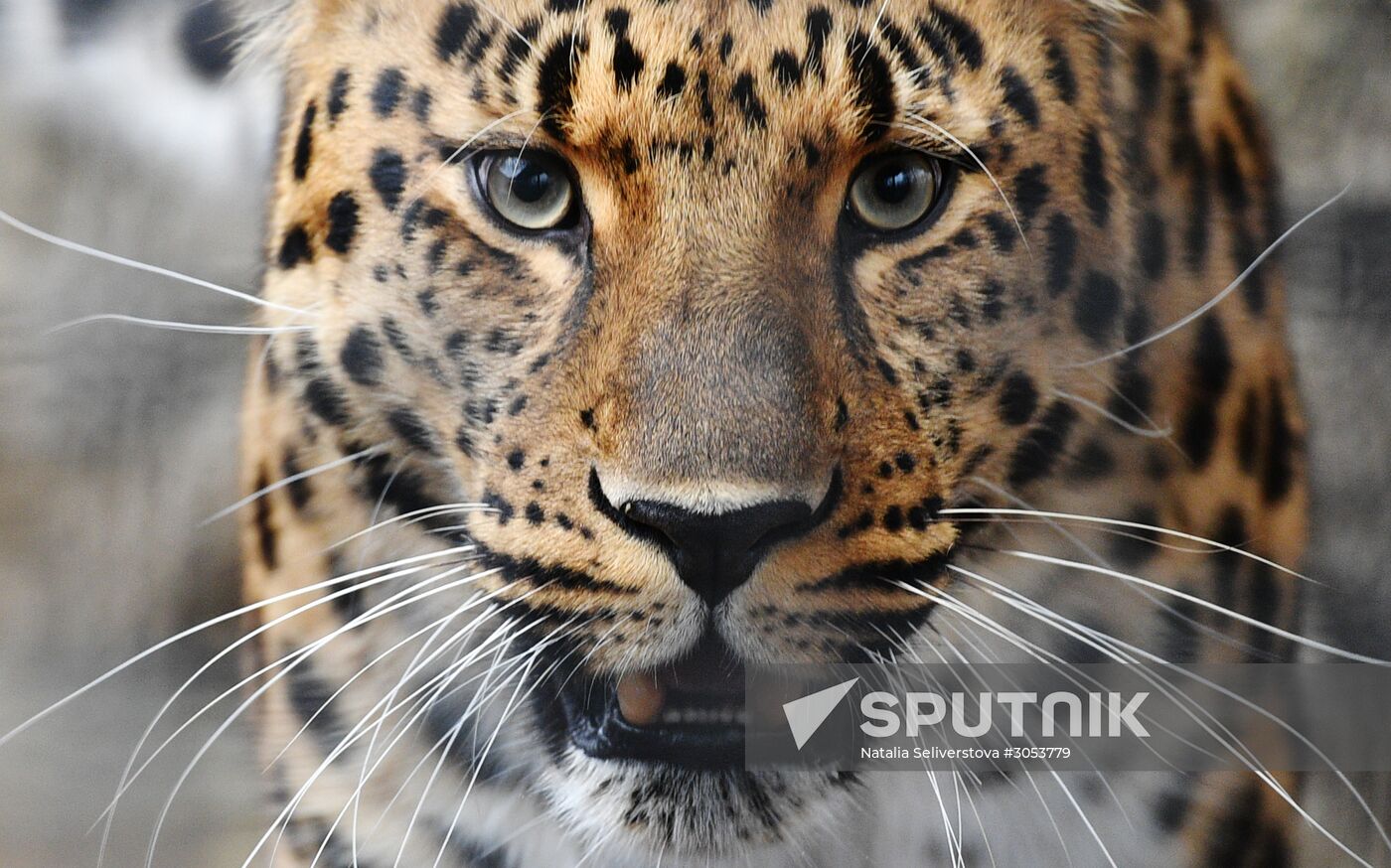 Moscow Zoo