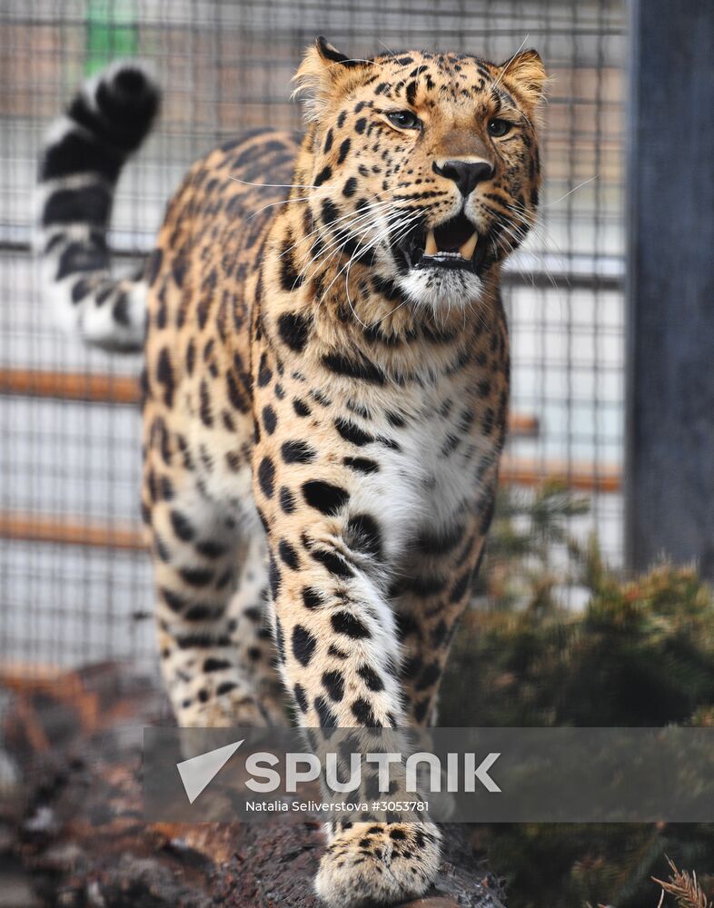 Moscow Zoo