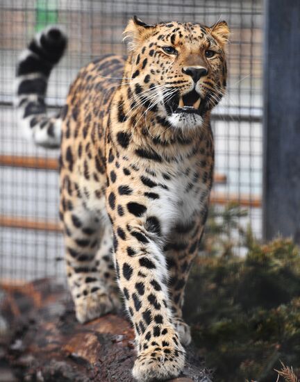 Moscow Zoo