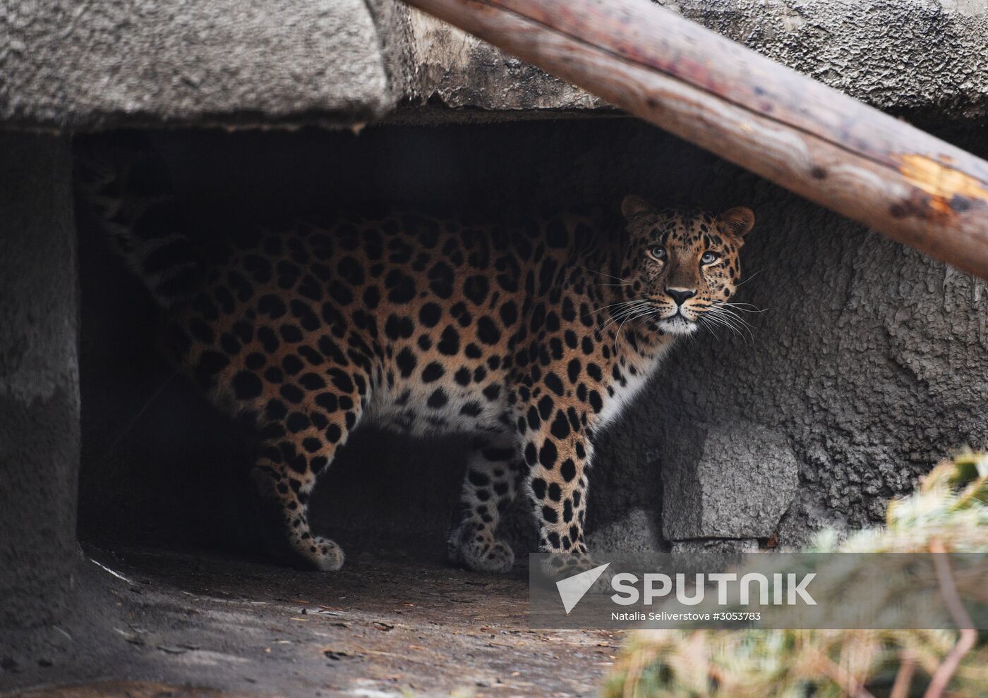 Moscow Zoo