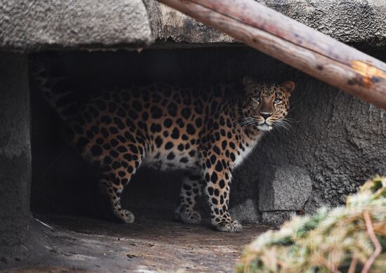 Moscow Zoo