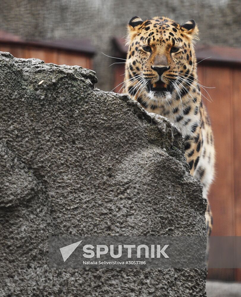 Moscow Zoo