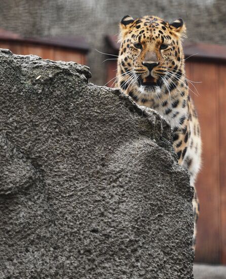 Moscow Zoo