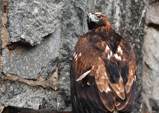 Moscow Zoo
