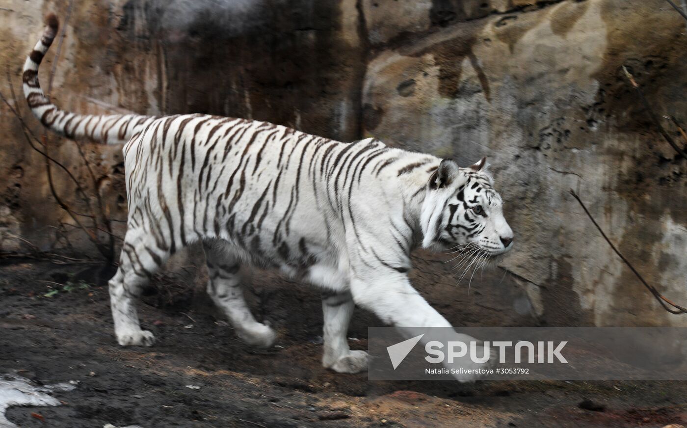 Moscow Zoo
