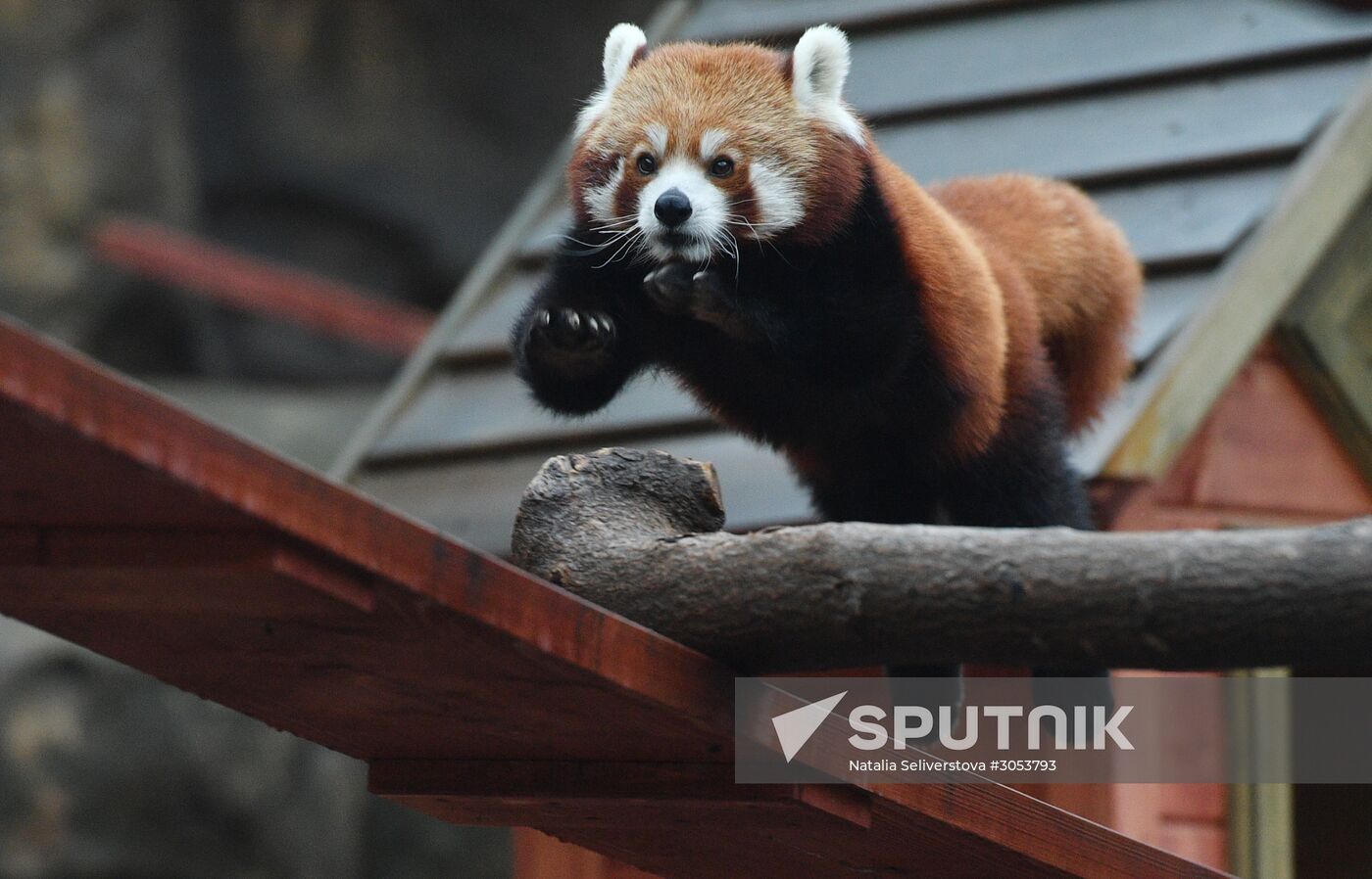 Moscow Zoo
