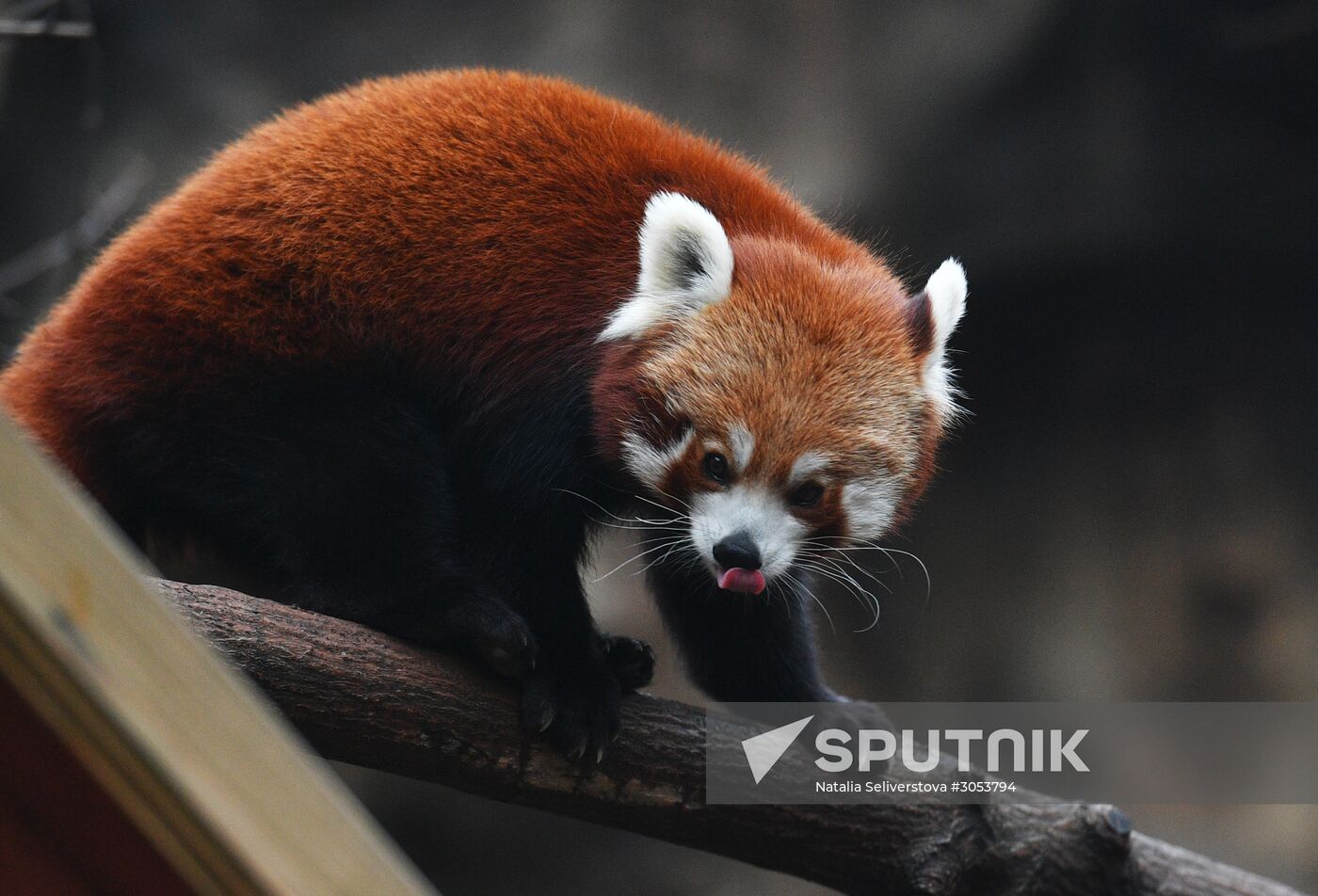 Moscow Zoo