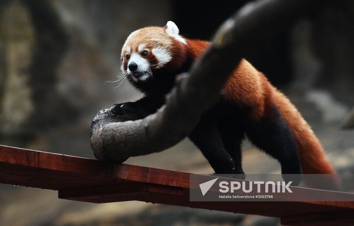 Moscow Zoo