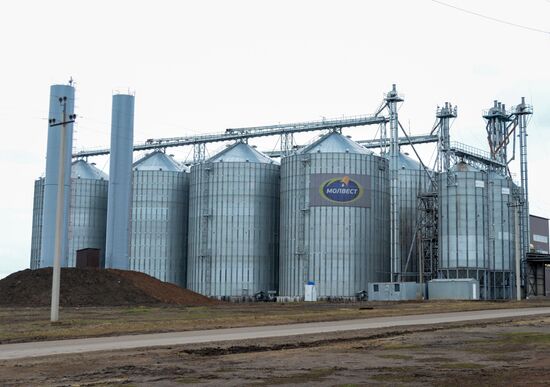 Molvest dairy complex in Voronezh Region