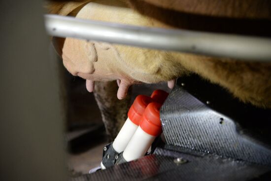 Molvest dairy complex in Voronezh Region