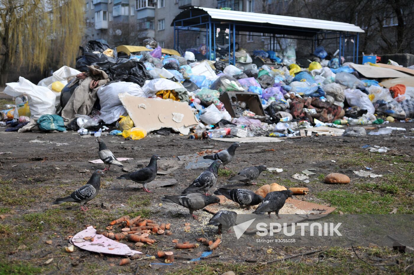 Domestic waste disposal in Lviv