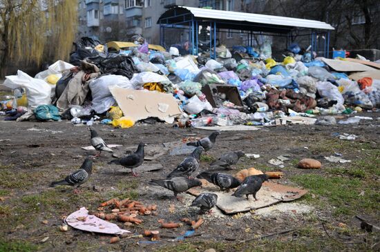 Domestic waste disposal in Lviv