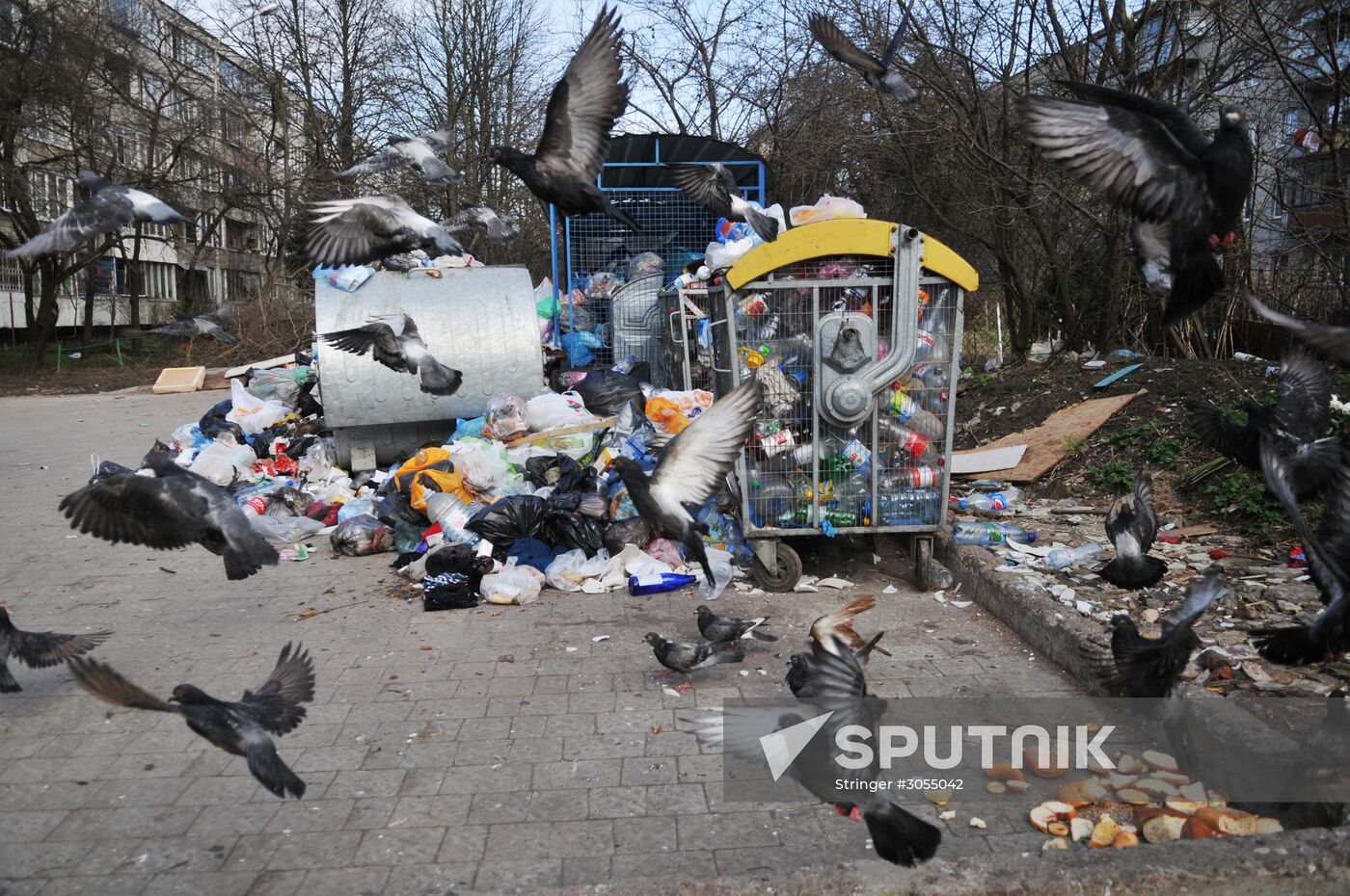 Domestic waste disposal in Lviv