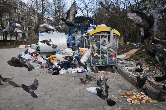 Domestic waste disposal in Lviv