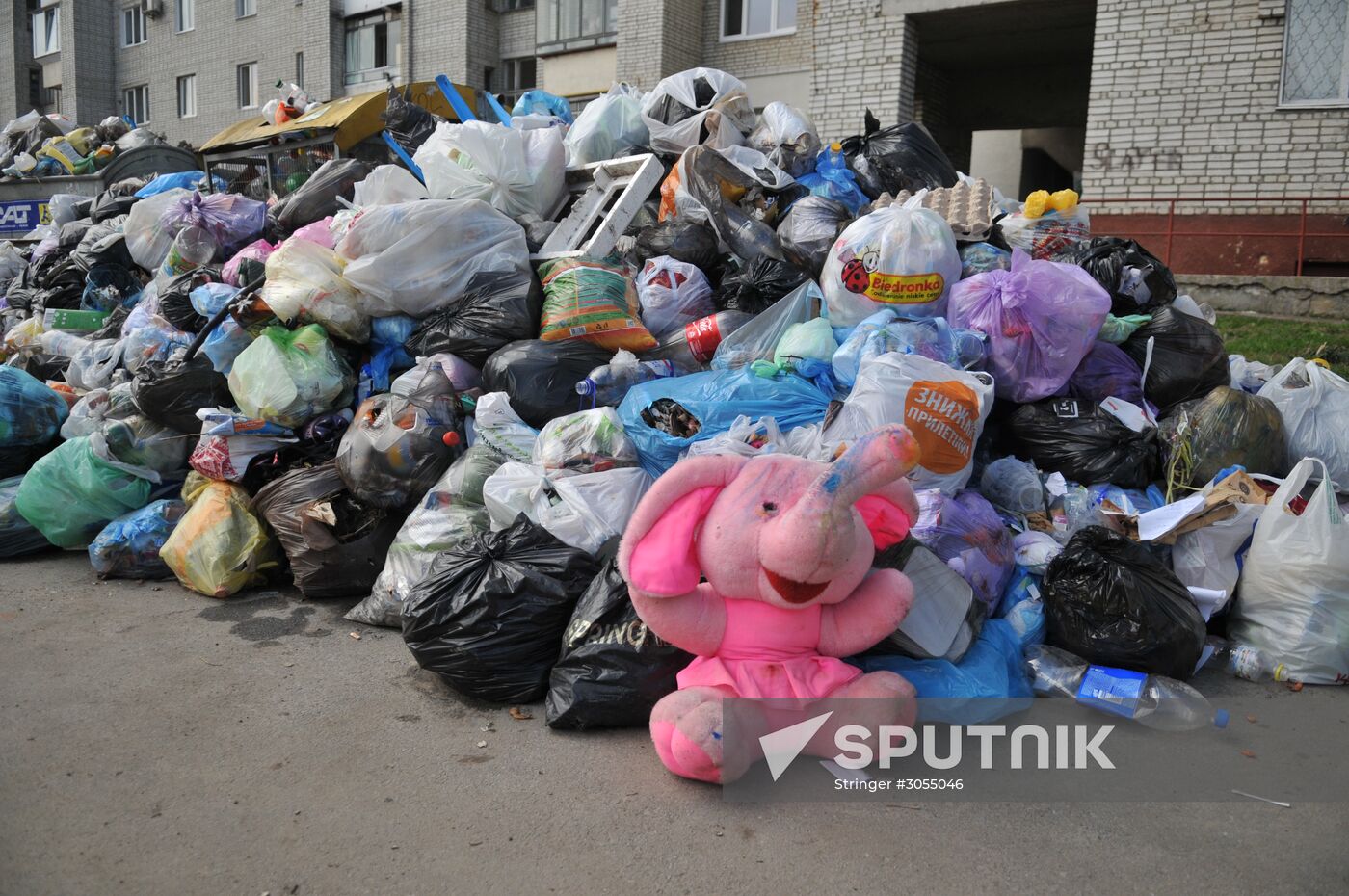 Domestic waste disposal in Lviv