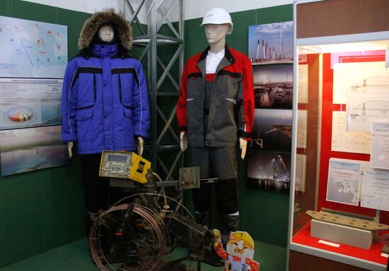 'Crimean Bridge. A fantastic reality' exhibition in Kerch