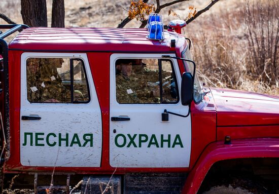 Forest fire fighting training in Primorsky Krai