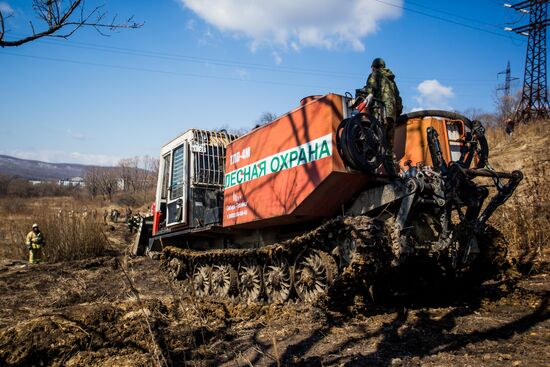 Forest fire fighting training in Primorsky Krai