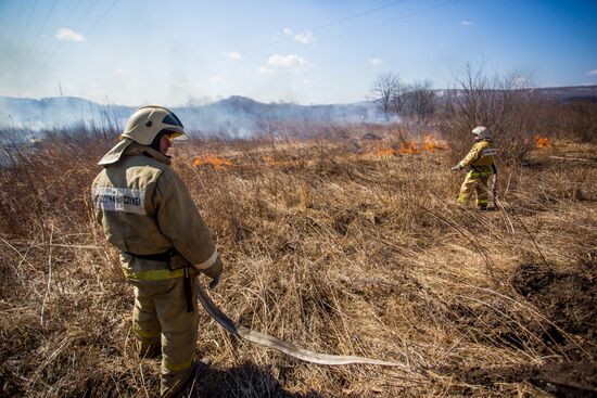 Forest fire fighting training in Primorsky Krai
