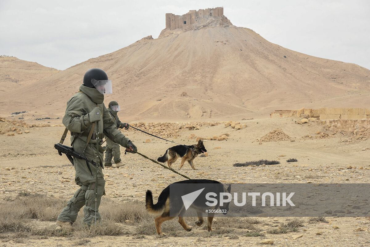 Russian engineers conduct mine clearance operation in Palmyra
