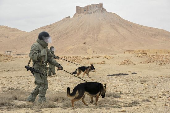 Russian engineers conduct mine clearance operation in Palmyra