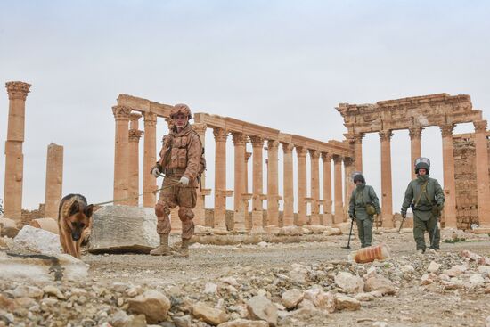 Russian engineers conduct mine clearance operation in Palmyra