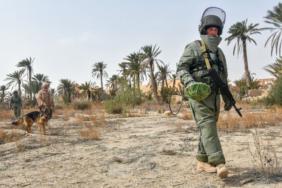 Russian engineers conduct mine clearance operation in Palmyra