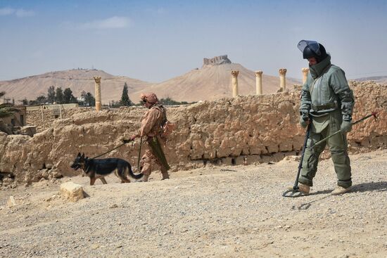 Russian engineers conduct mine clearance operation in Palmyra