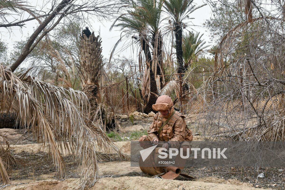 Russian engineers conduct mine clearance operation in Palmyra