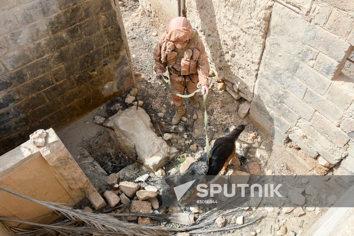 Russian engineers conduct mine clearance operation in Palmyra