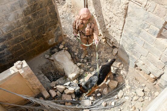 Russian engineers conduct mine clearance operation in Palmyra