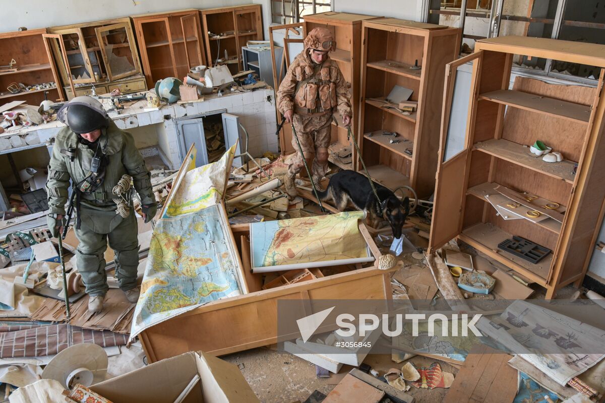 Russian deminers clear historical part of Palmyra and residential areas of mines