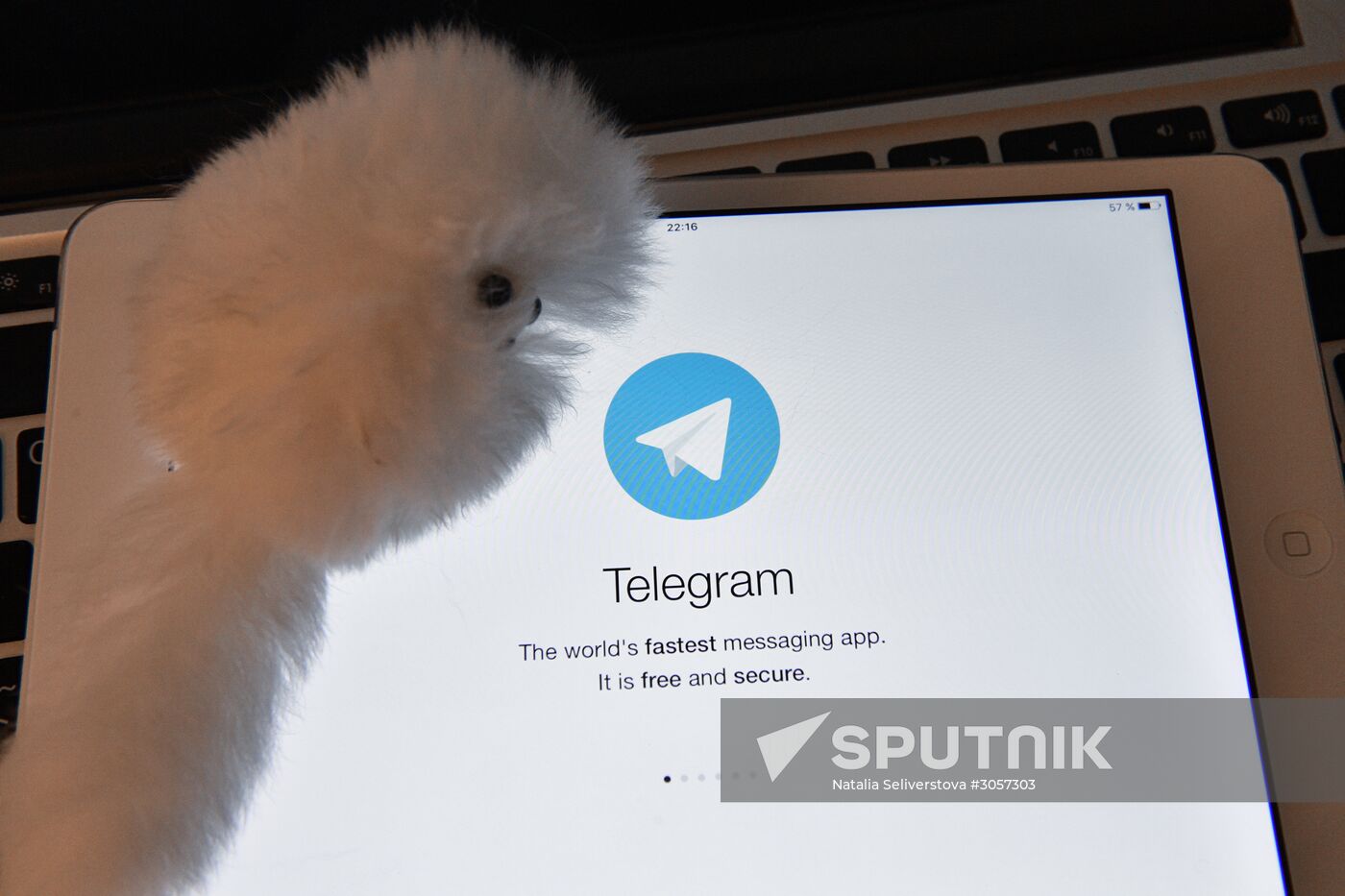 Telegram messenger