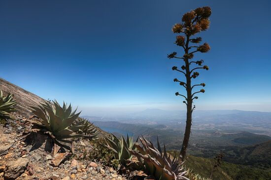 Countries of the world. El Salvador
