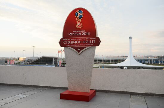 Football. Friendly match. Russia vs. Belgium