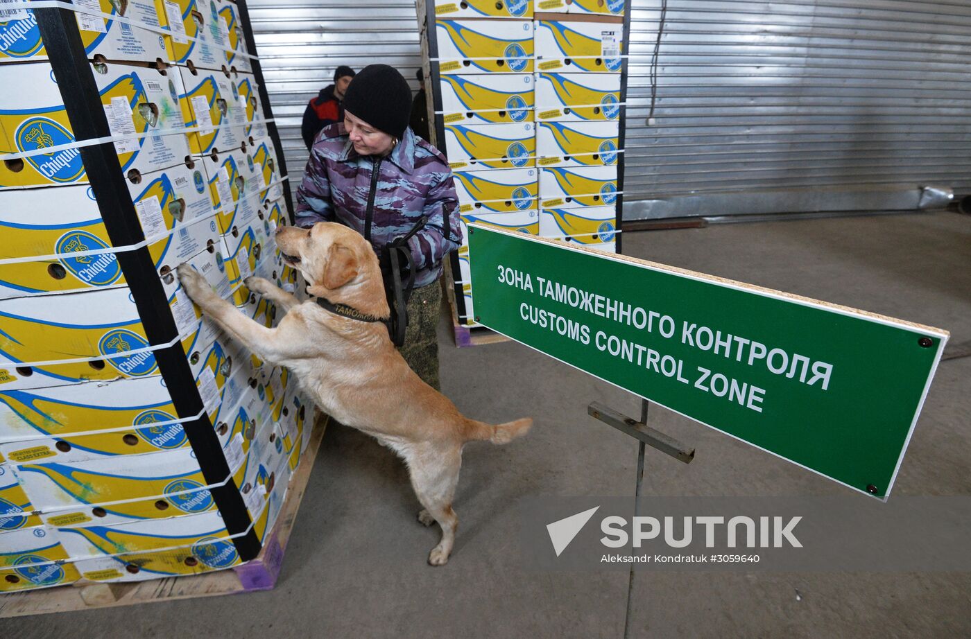 Troitsk customs point in Chelyabinsk Region