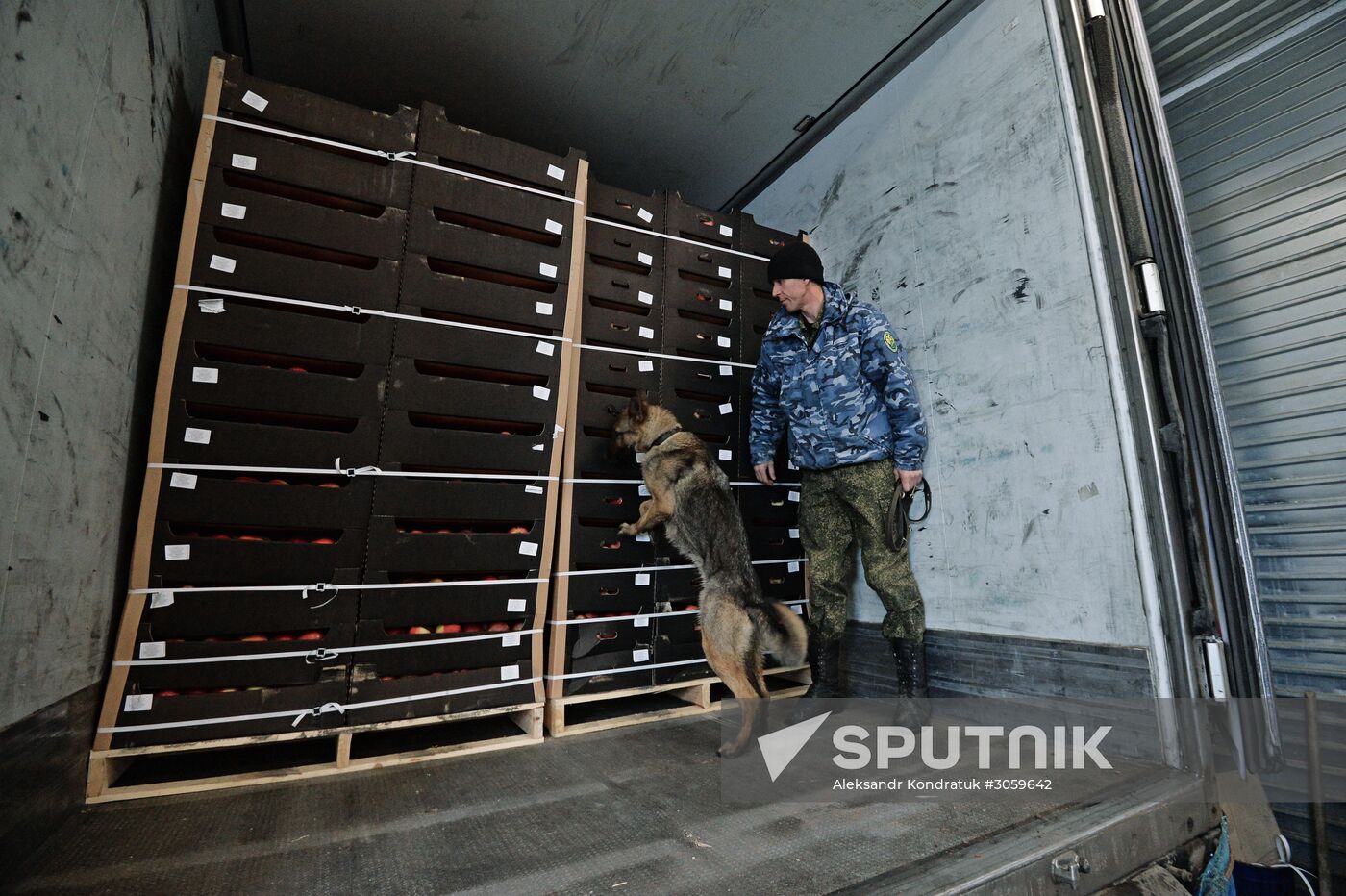 Troitsk customs point in Chelyabinsk Region