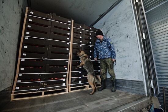 Troitsk customs point in Chelyabinsk Region