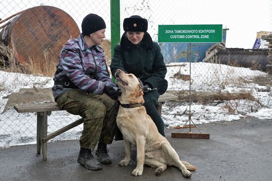 Troitsk customs point in Chelyabinsk Region