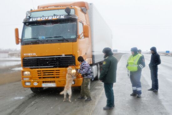 Troitsk customs point in Chelyabinsk Region